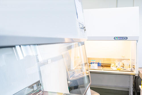 a lab with biosafety cabinets containing viles and containers