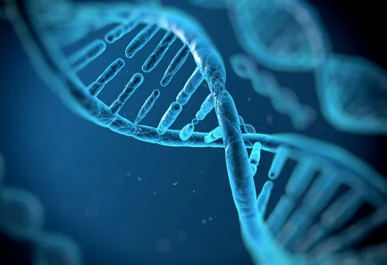 Gap Analysis and Consulting Services for new lab facilities by Digelab Solutions.